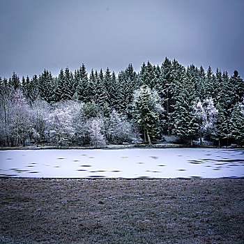 冬季风景,自然公园,法国