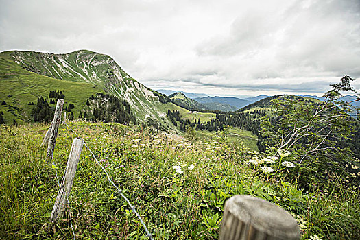 线,栅栏,草,乡村,山坡