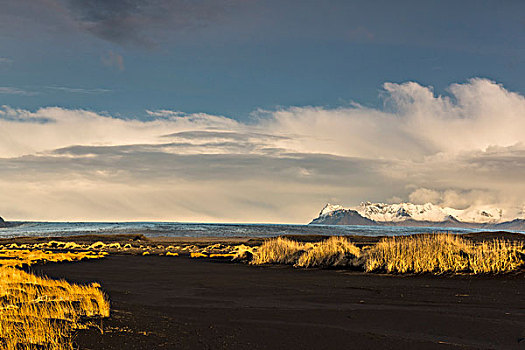 黑色,火山岩,沙子,草,正面,结冰,舌头,冰河,斯卡夫塔菲尔国家公园,南方,区域,冰岛,欧洲