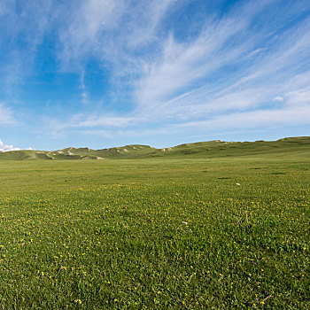 新疆巴音布鲁克的草原风光