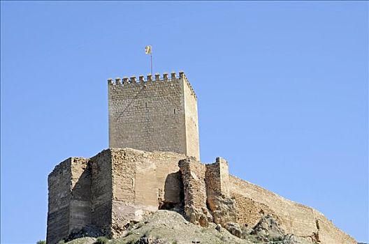 城堡,博物馆,西班牙,欧洲