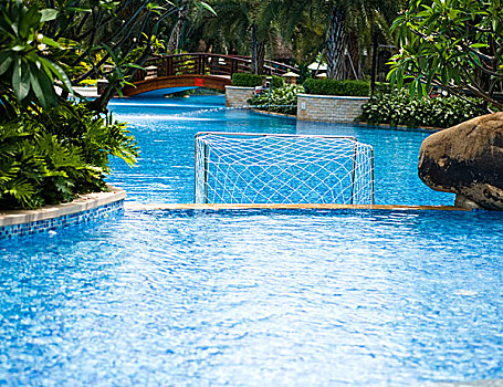 游泳池,围绕,茂密,热带植物