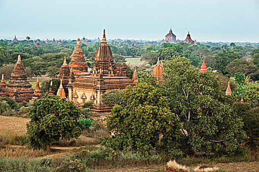 庙宇,风景,蒲甘,缅甸