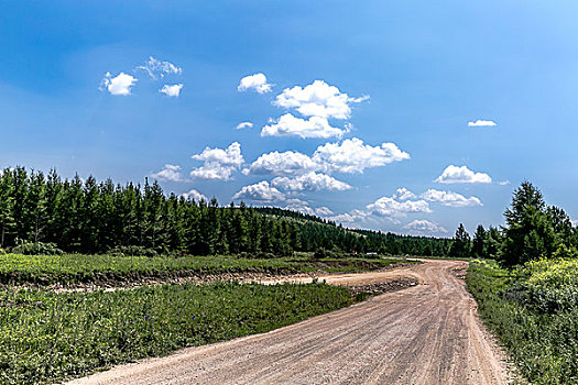 弯道,柏油路,公路,道路,草原