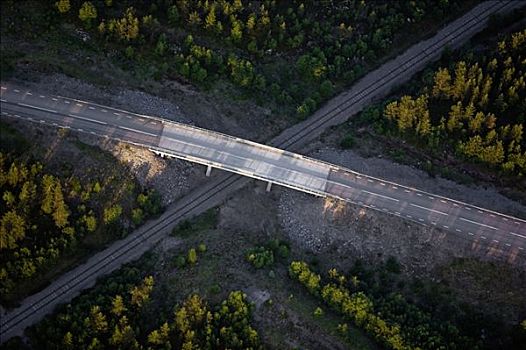铁路,高架桥,林地,航拍,瑞典