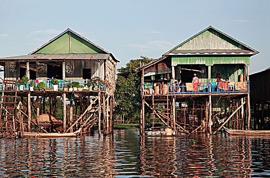 房子,河,收获,柬埔寨