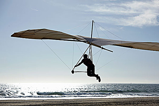 悬挂式滑翔机,飞行员,降落,海滩