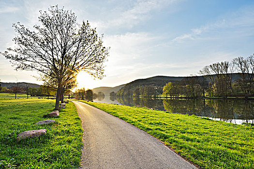自行车道,早晨,太阳,河,弗兰克尼亚,施佩萨特,米尔顿堡,地区,巴伐利亚,德国