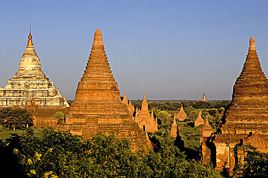 亚洲,缅甸,蒲甘,庙宇,围绕,树