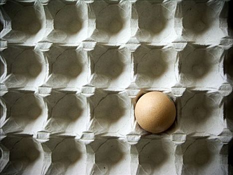 孤单,蛋,鸡蛋格,象征