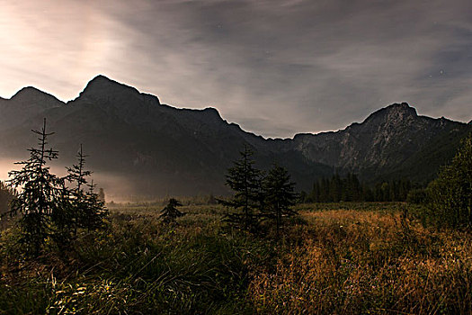 风景,月光,山,奥地利,欧洲