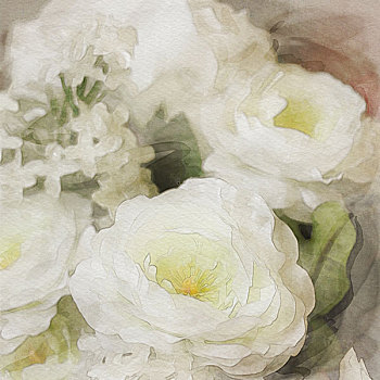 艺术,花,旧式,水彩,背景,白色,玫瑰