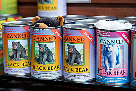 可笑,纪念品,罐头,熊,温哥华,不列颠哥伦比亚省,加拿大
