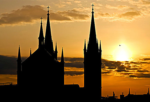 教堂,日出,上方,维也纳,奥地利,欧洲