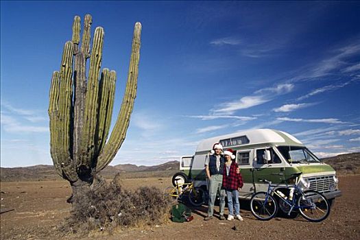 仙人掌,旅游,北下加利福尼亚州,墨西哥