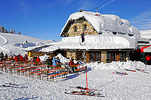 滑雪,小屋,啤酒,长椅,太阳,卡林西亚,奥地利,欧洲