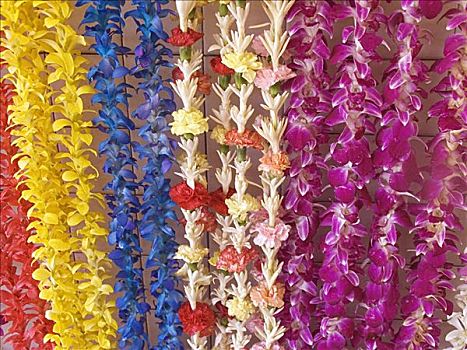 种类,夏威夷,花环,悬挂,鲜明,彩色,棚拍