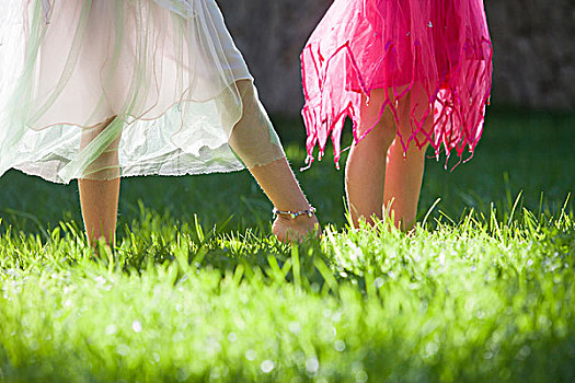 局部,腿,两个女孩,仙女,服饰,花园