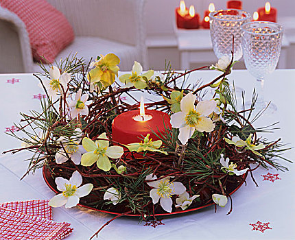 花环,山茱萸,圣诞玫瑰,常春藤,松树,蜡烛