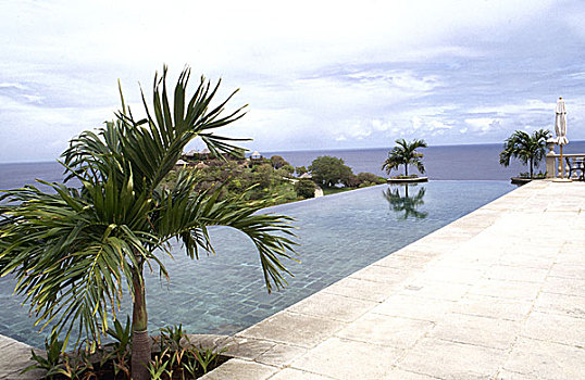户外泳池,边缘,石头,内庭,棕榈树,海景