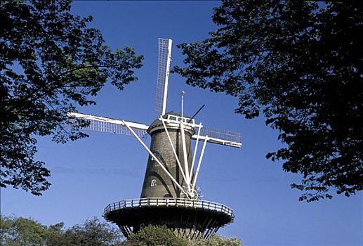 荷兰,风景,风车