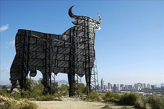 公牛,贝尼多姆,白色海岸,西班牙