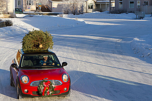 红色,迷你库伯,跑车,圣诞树,上面,住宅,街道,房子,阿拉斯加,冬天