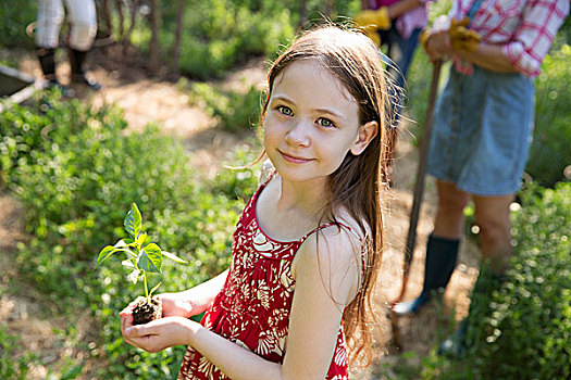 女人,孩子,一个,拿着,幼小植物,绿叶,健康