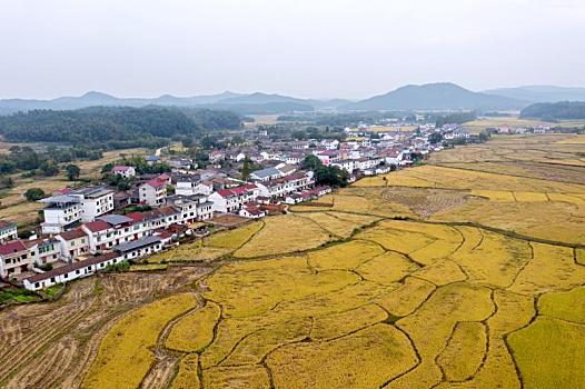 汽车遮阳板