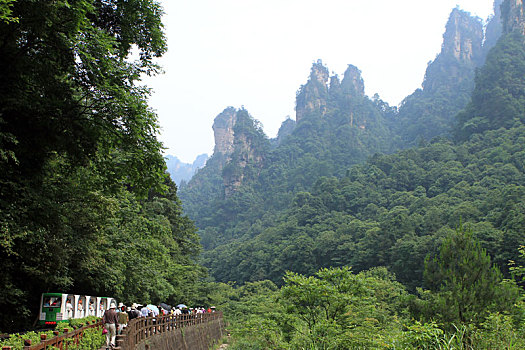 湖南张家界,山水风光誉满天下,风景如画仿佛置身仙境