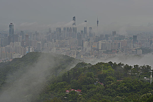 白云山上的云雾景观