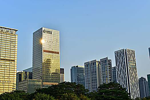 深圳市中心高楼大厦