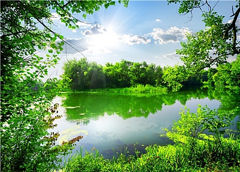 绿色,春天,河