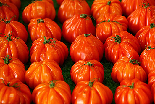 西红柿,市场,里维埃拉,法国,欧洲