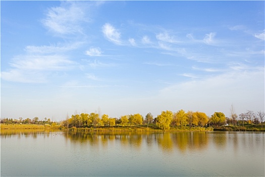 沣河梁家滩湿地公园