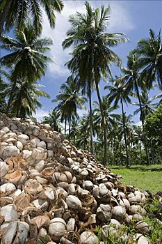 巨大,堆,空,椰树,外皮,农产品,干椰肉,印度尼西亚,亚洲