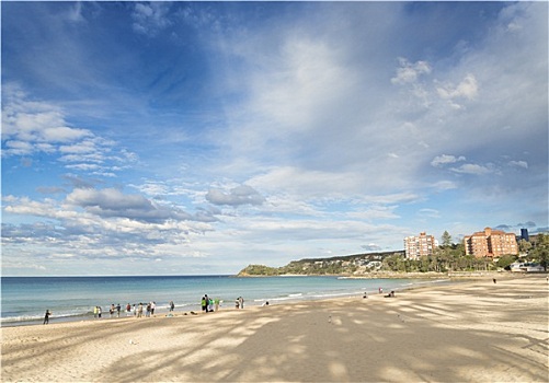 男人味,海滩,悉尼,澳大利亚