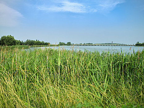 石家庄浮沱河湿地公园