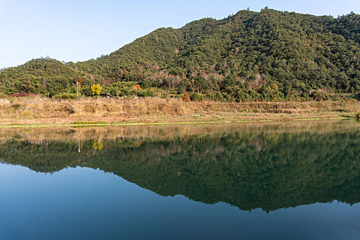 小芝红杉林,小芝红树林