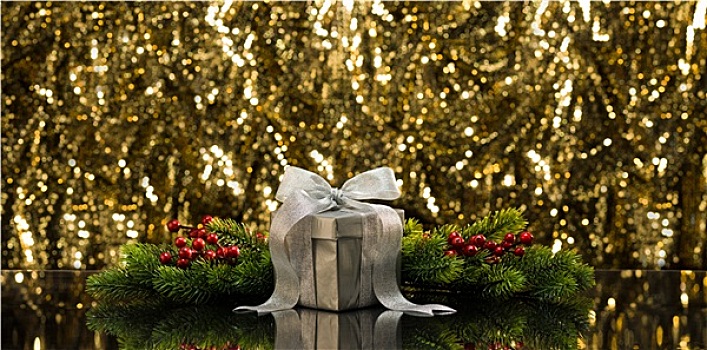 银,礼物,圣诞树,枝条