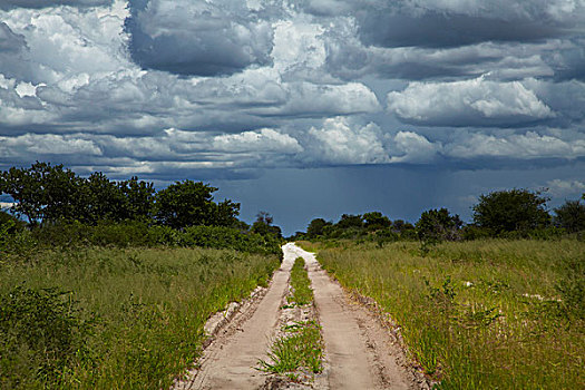 边界,乌云,博茨瓦纳,非洲