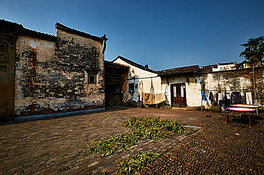 浙江寺平古镇,树木,老房子,旧建筑,砖墙,白墙,小院,蓝天,自然风光