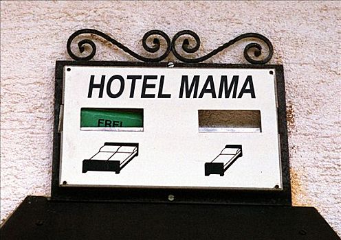象征,酒店,母兽