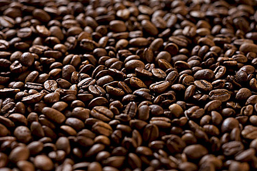 咖啡豆,全画幅