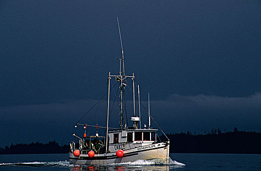 三文鱼,捕鱼,船,渔业,笔直,不列颠哥伦比亚省,加拿大