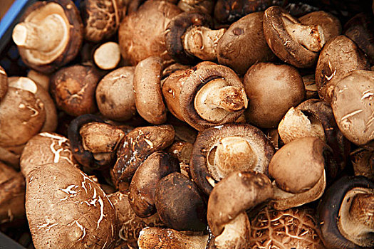 蘑菇,农贸市场