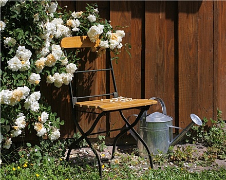 花园椅,玫瑰,洒水壶