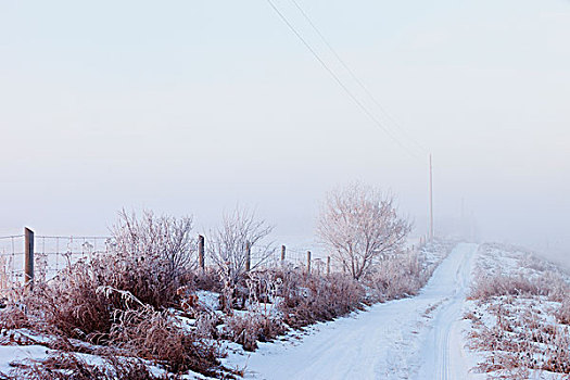 积雪,乡村道路,公共草地,艾伯塔省,加拿大