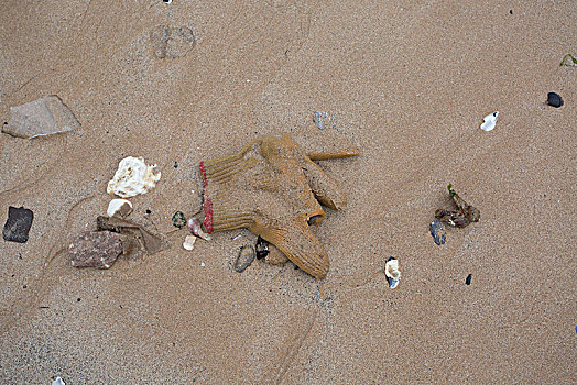 海滩,遗物,手套,垃圾,环保,遗弃