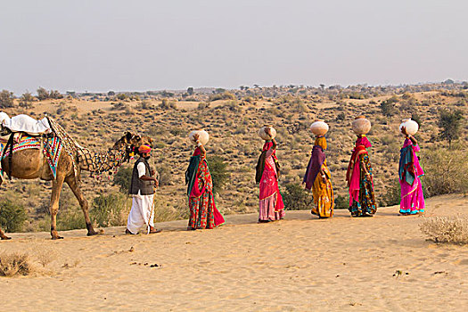 亚洲,印度,拉贾斯坦邦,曼瓦,沙漠,沙丘,多彩,衣服,乡村,女人,走,罐,头部,骆驼,使用,只有